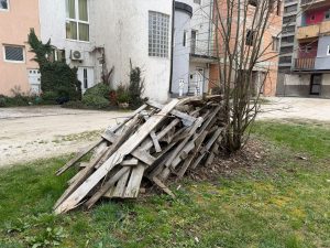 WhatsApp Image 2026-03-20 at 10.09.31